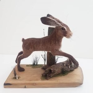 The Hare and the Mushrooms