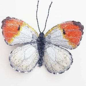 Orange Tipped Butterfly