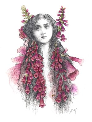 Foxglove