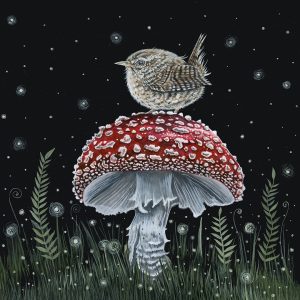 Midnight Wren