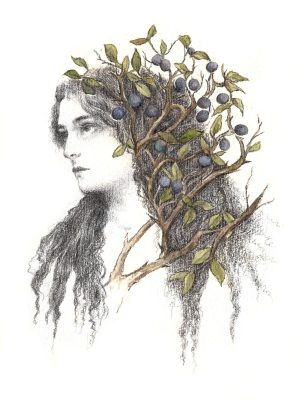 Blackthorn