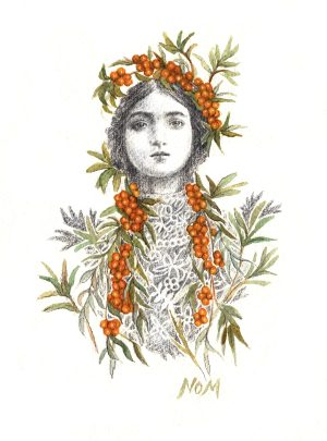 Buckthorn