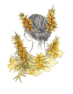 Gorse