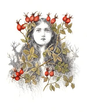 Rosehip