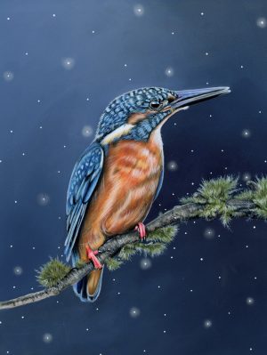 The Silent Observer