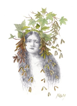 Sycamore