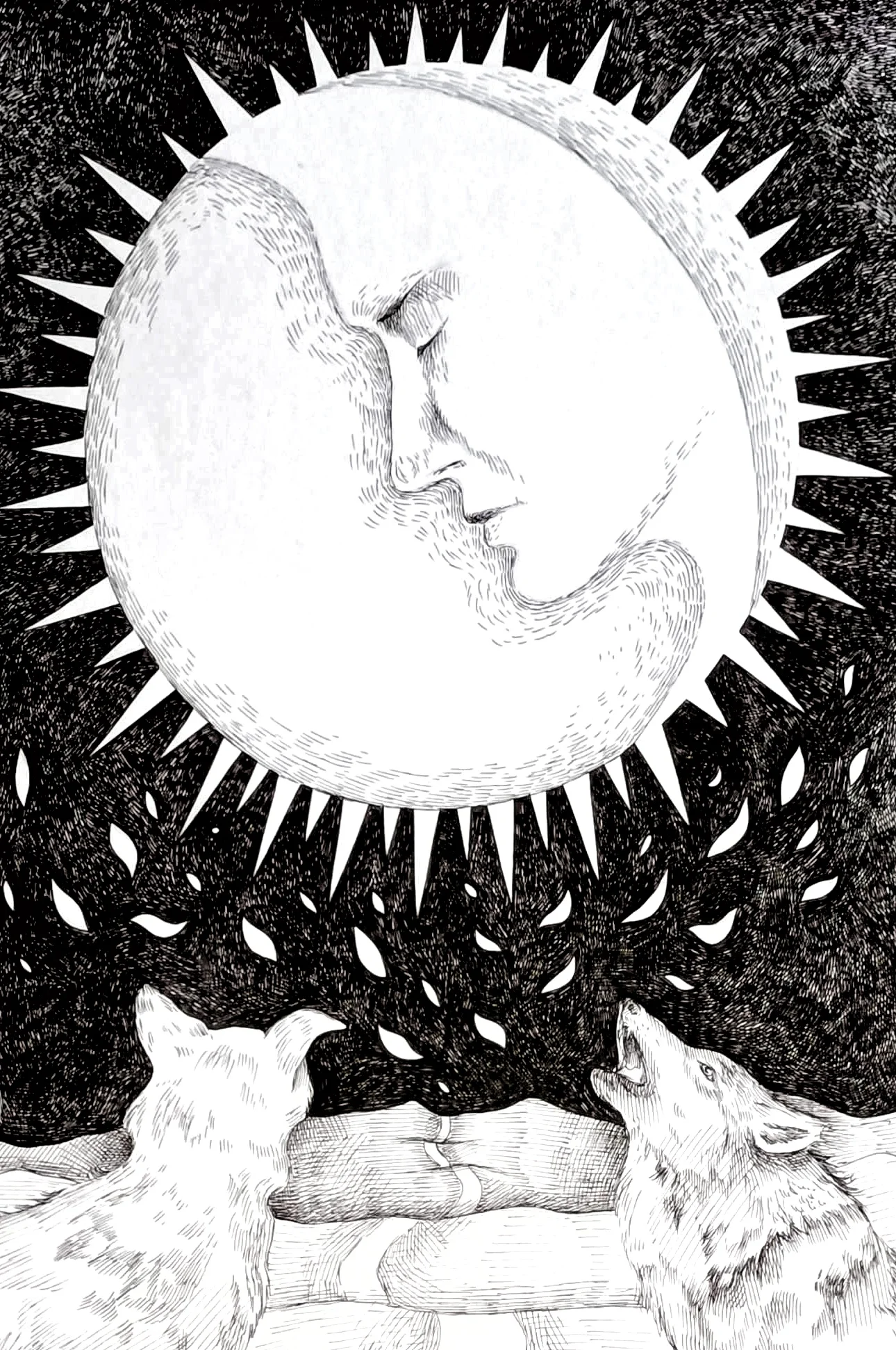 The Moon - Image 2