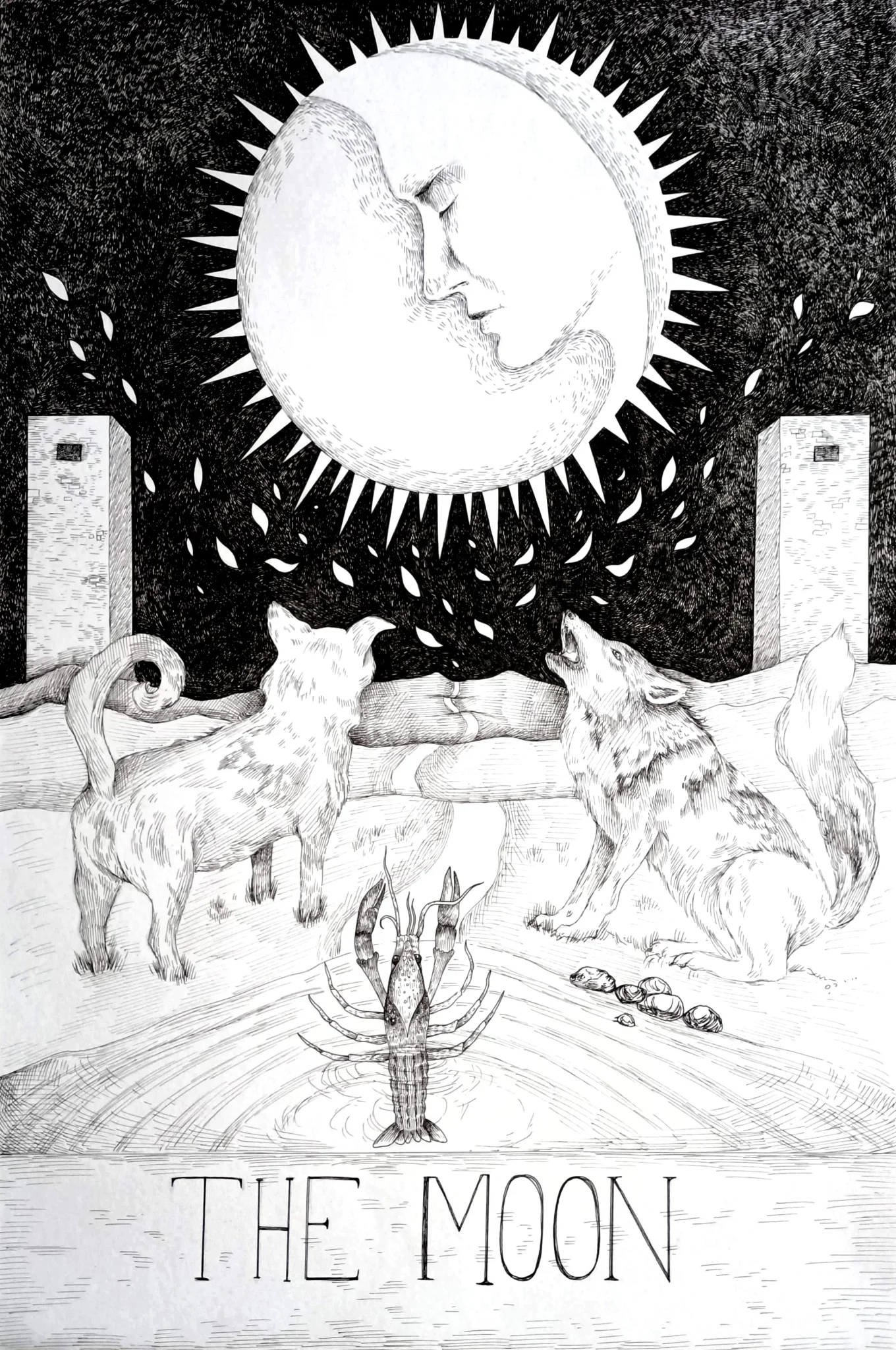 The Moon